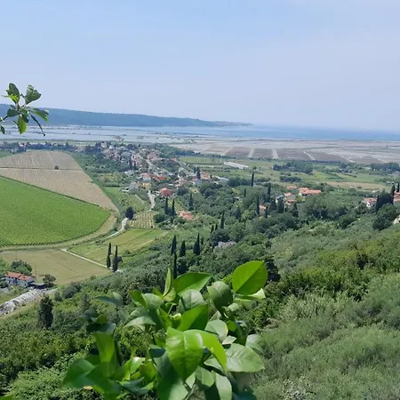 Holiday home Milok
